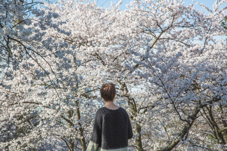 Spring collections