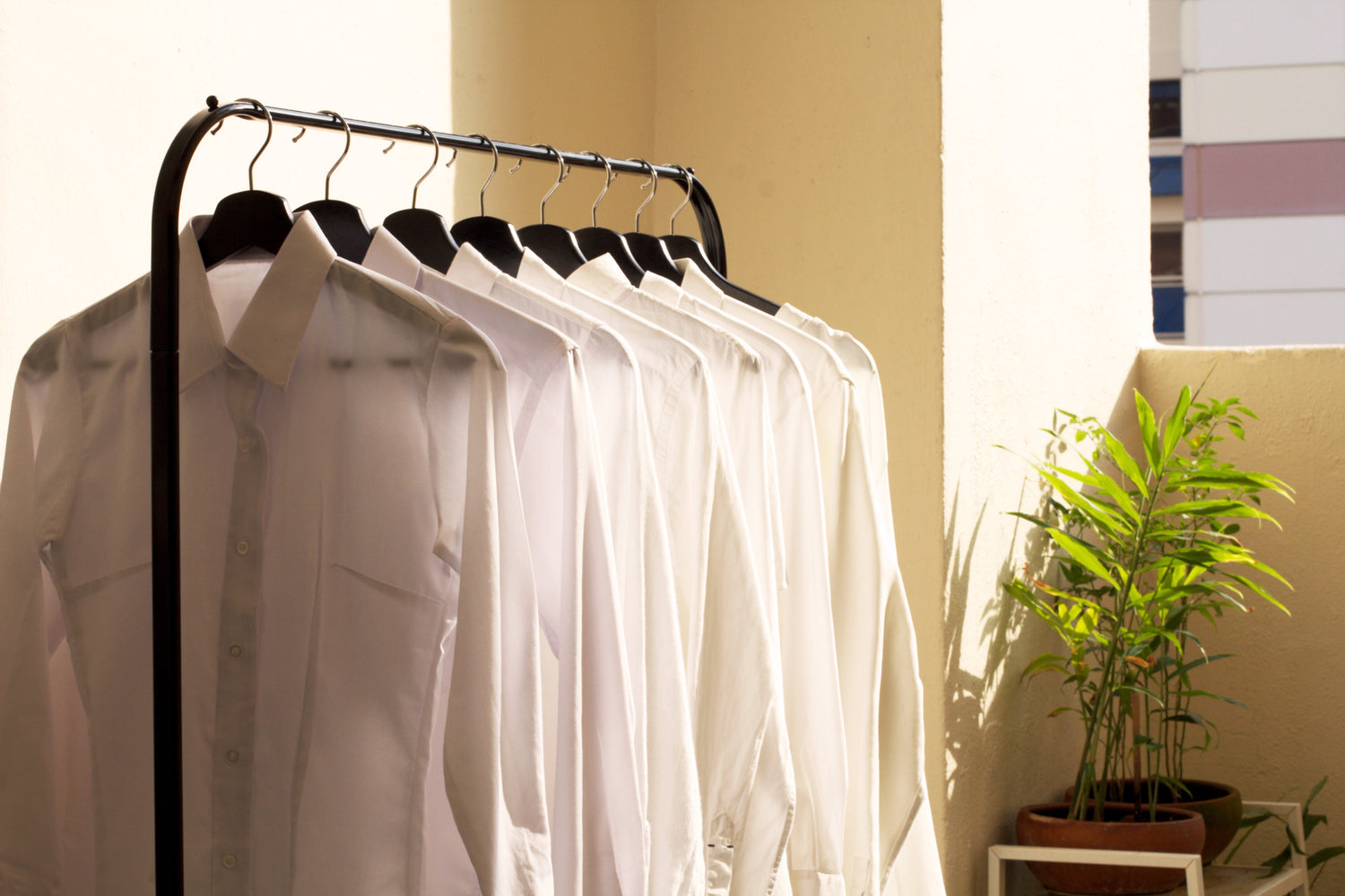 Shirts